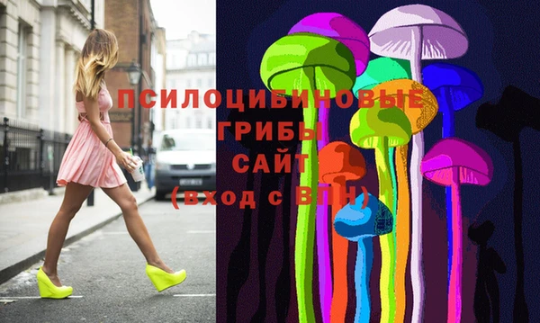 амф Алексин