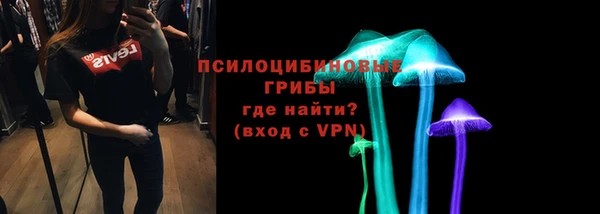 амф Алексин