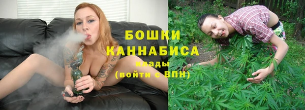 индика Осинники
