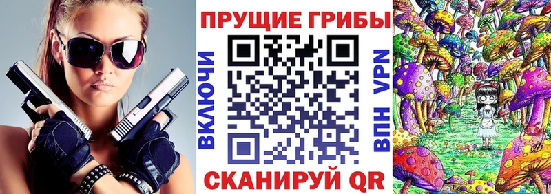 Галлюциногенные грибы Psilocybe  KRAKEN зеркало  Ярцево  сколько стоит 