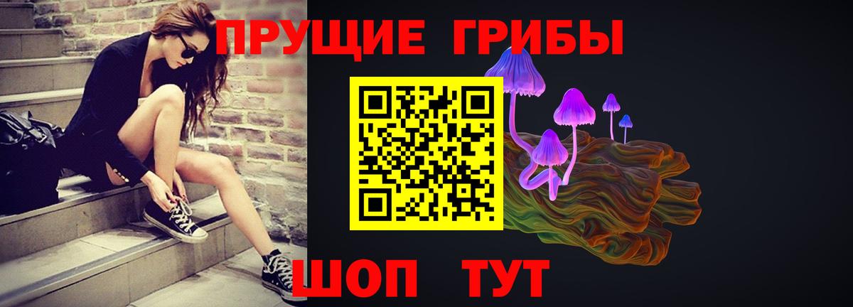 Псилоцибиновые грибы Cubensis  Псилоцибиновые грибы мицелий  Ярцево  Вход с VPN 